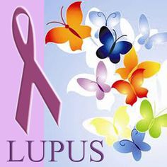 lupus 1